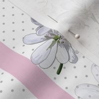 White Coriander Flowers | Stripes + Gray Dots