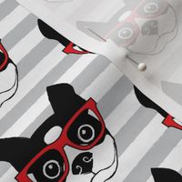 hipster boston terrier with red glasses