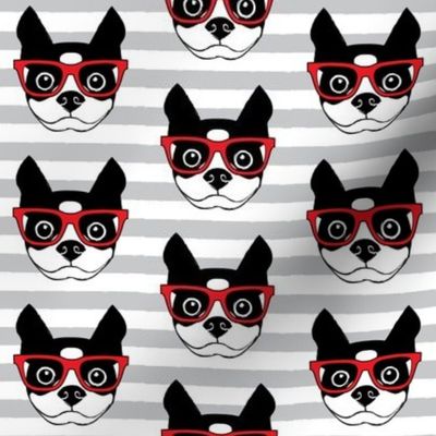 hipster boston terrier with red glasses