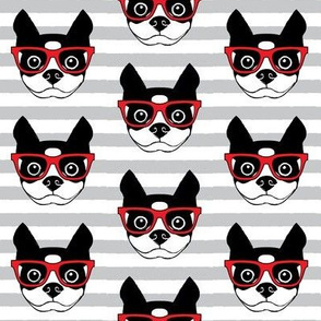 hipster boston terrier with red glasses