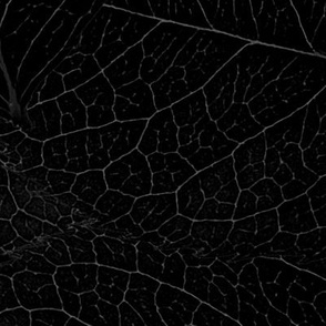 leaf pattern fabricDark
