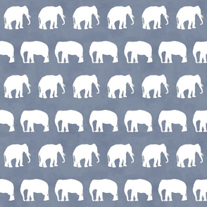 Elephants On Gray