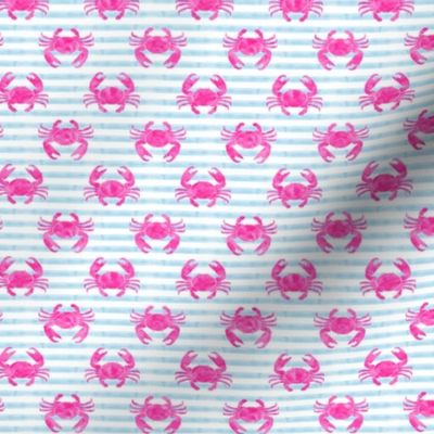 (3/4" scale) crabs - pink on blue stripes C19BS
