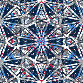 The Red the Blue the Navy and the Grays: Star Collage