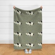 Border Collie for Pillow