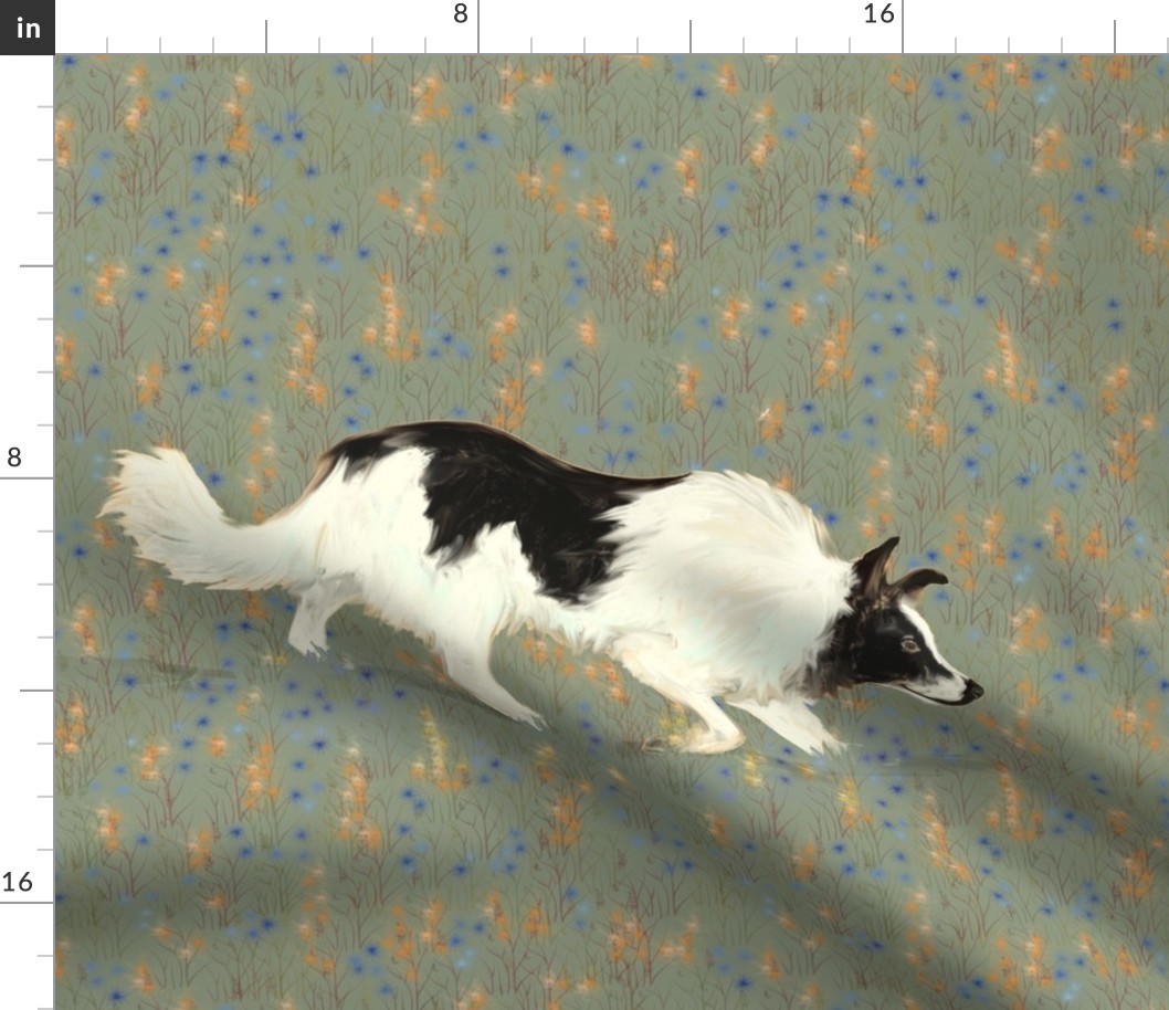 Border Collie for Pillow