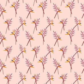 Bird of Paradise on Pearl Pink Background