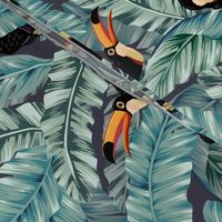 Tropical Toucans on Banana Leaves