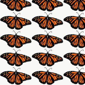 Monarch butterfly 