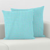 1/4" Gingham Checks Tropical Blue