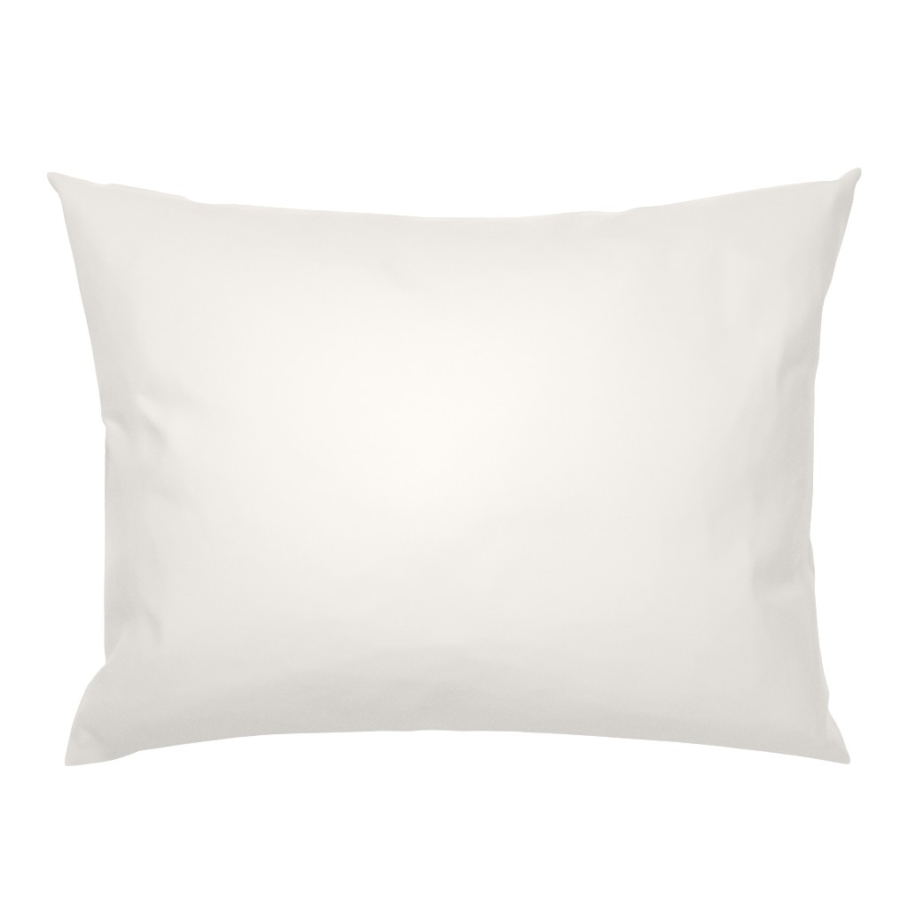 Bone White Ecru Plain Beige Solid Bone Off White