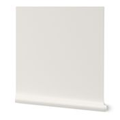 Bone White Ecru Plain Beige Solid Bone Off White