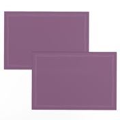 Purple Wisteria Solid Summer Party Color