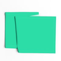 Sweetmint Green Solid Summer Party Color