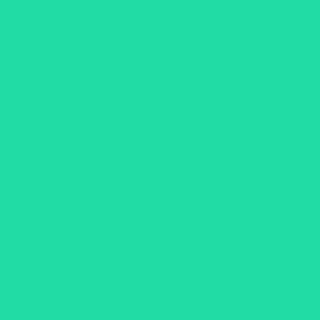 Sweetmint Green Solid Summer Party Color