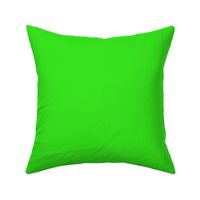 Lime Margarita Solid Summer Party Color