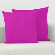 Pink Fuchsia Solid Summer Party Color