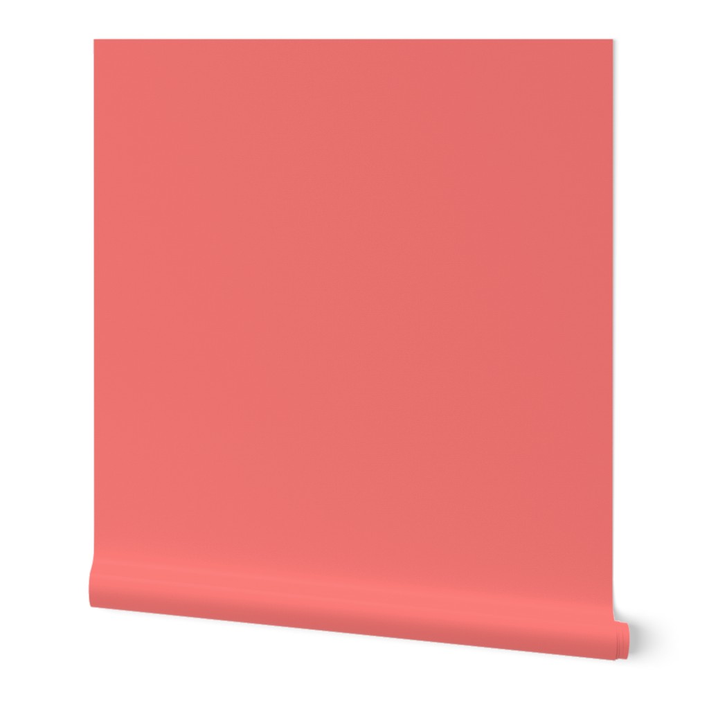 Coral Rose Solid Summer Party Color