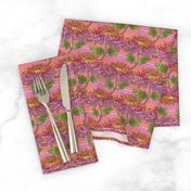 Chrysanthemum Stripes-PinkOmbre