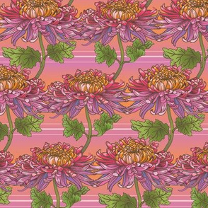 Chrysanthemum Stripes-PinkOmbre