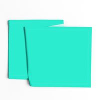 Aqua Gift Box Solid Summer Party Color