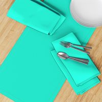 Aqua Gift Box Solid Summer Party Color