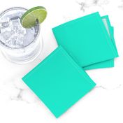 Aqua Gift Box Solid Summer Party Color