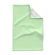 Spearmint Mint Solid Summer Party Color