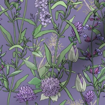Purple Wildflowers 