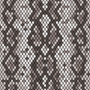 Snake Skin Black White Grey White,  Animal Print Snake, Boa Skin, Snake Skin Pattern