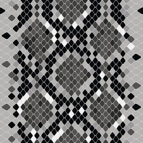 Snake Skin Black and White Grey White,  Animal Print Snake, Boa Skin, Snake Skin Pattern