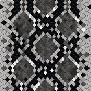 Snake Skin Black and White Grey, Animal Print Snake, Boa Skin, Snake Skin Pattern