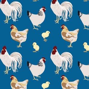 Cluck Cluck Blue Medium 