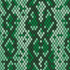 Snake Skin Green Light Green, Animal Print Snake, Boa Skin, Snake Skin Pattern