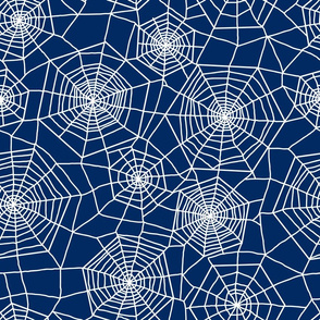 Spiderweb