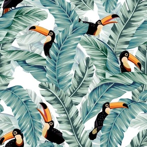 Large format Toucans and Banana Leaves on White