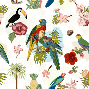 Parrots & Tropical