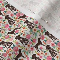 German Shorthair Pointer floral (TINY) dog breed fabric cream