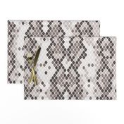 Snake Skin Grey White, Animal Print Snake, Boa Skin, Snake Skin Pattern