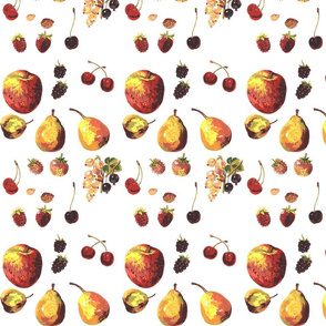 fruits_and_nuts