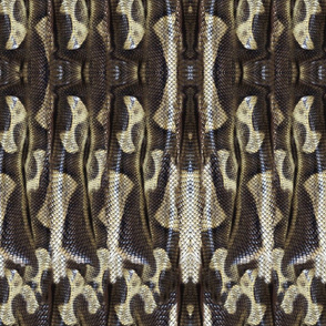 19-09u Snakeskin chocolate Abstract Animal Snake Brown Black Gray