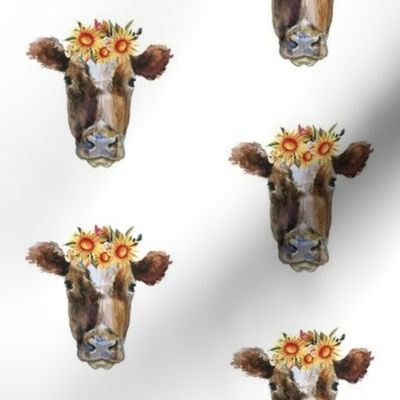 Summer Sunflower Cows