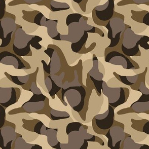 Desert Camouflage Camo in Browns