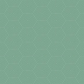 Mini Prints: Hexagon - Greyed Mint