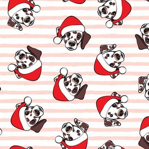 Dalmatians with Santa hats - Christmas dogs - pink stripes (brown spots) - LAD19
