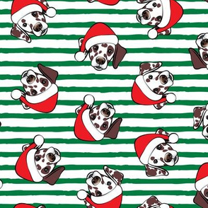 Dalmatians with Santa hats - Christmas dogs - green stripes (brown spots) - LAD19
