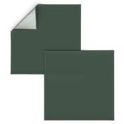 plain dark green solid green