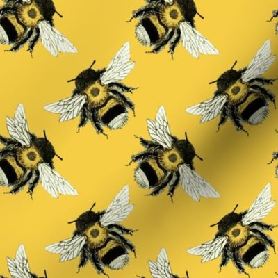 Bumble Bee Basics: Yellow