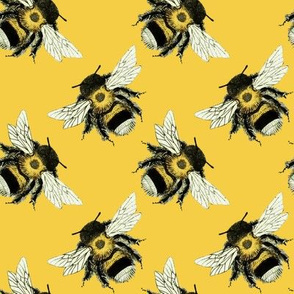 Bumble Bee Basics: Yellow