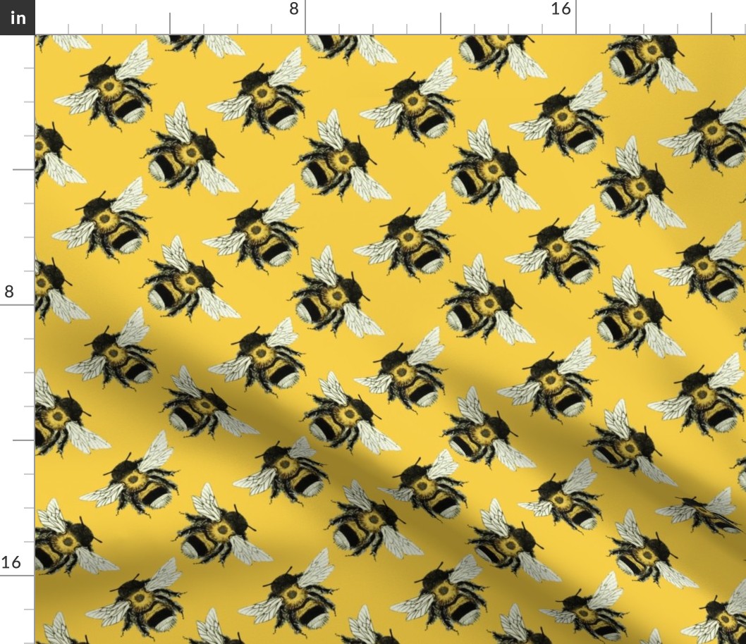 Bumble Bee Basics: Yellow